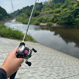 アユ