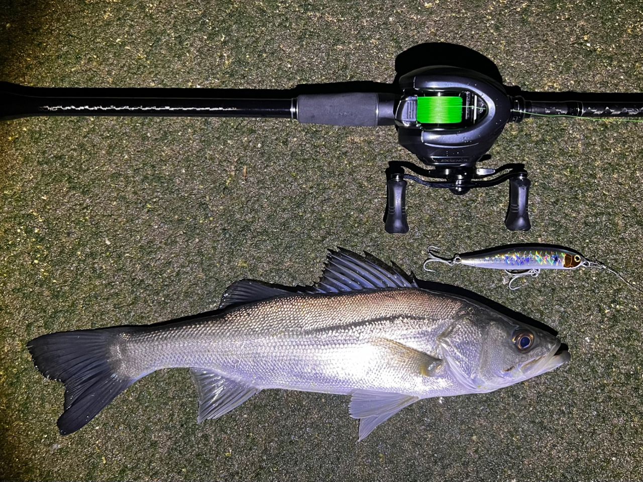 最終価格EXSENCE ジェノスB96M/R シーバスロッド 9'6\