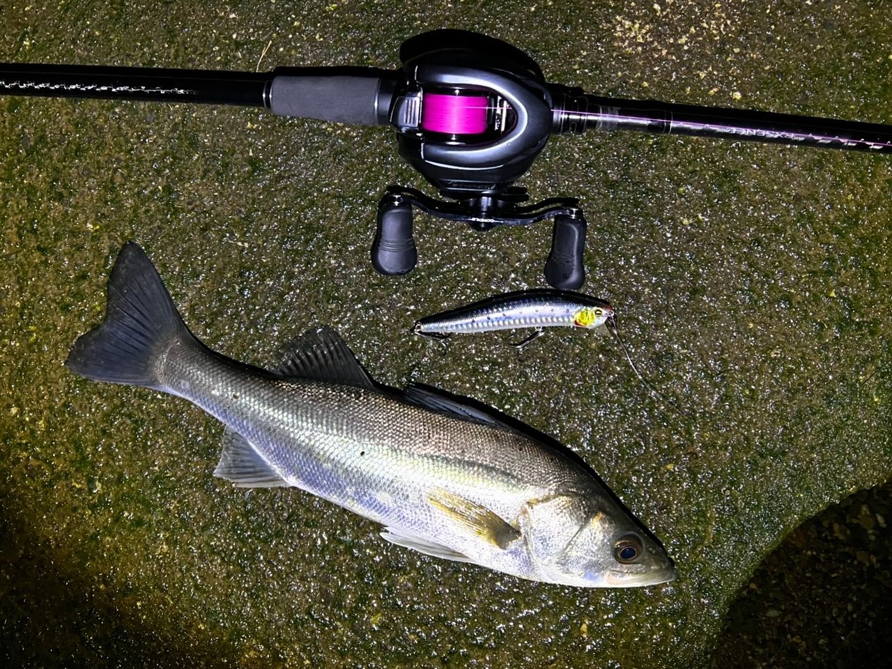 SHIMANO 20エクスセンスジェノス (ベイトキャスティングモデル