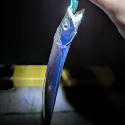 ヒイカ