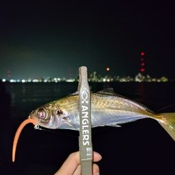 アジ