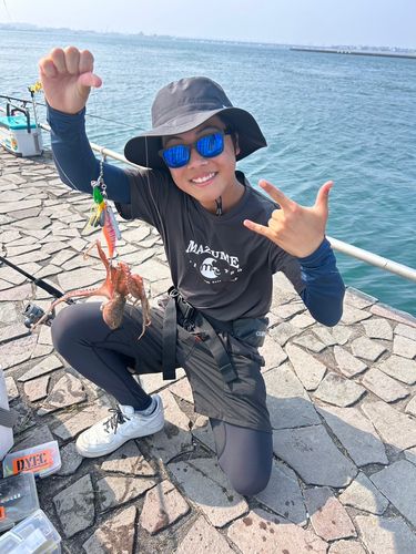 クロアナゴの釣果