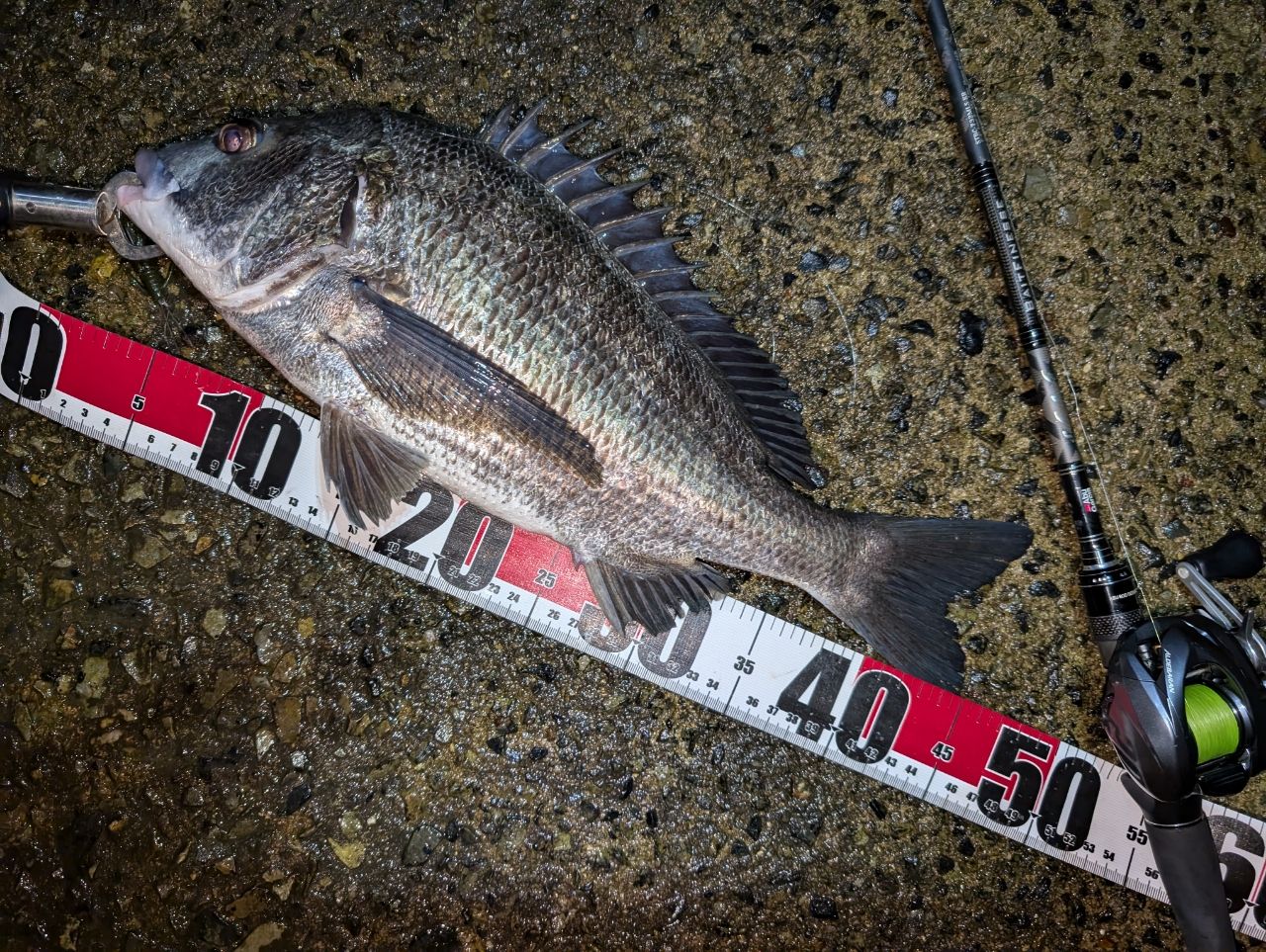 AbuGarcia ソルティースタイル ベイトフィネスカスタム STBC