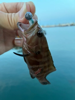 釣果