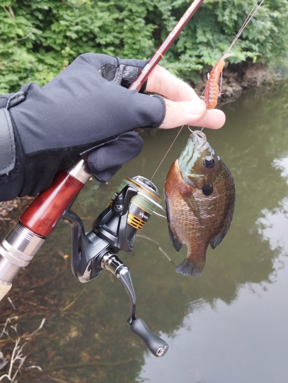 AbuGarcia トラウトフィールド TFS-532Lの最安値・インプレ