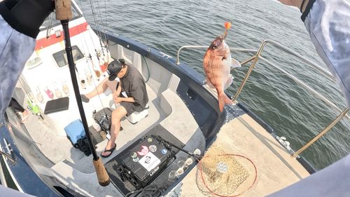 マダイの釣果