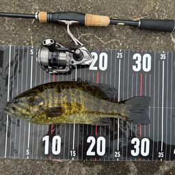 スモールマウスバス