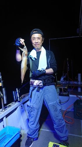 シロイカの釣果