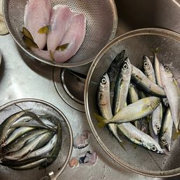 マサバ