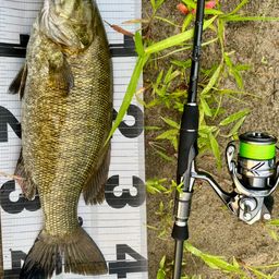 スモールマウスバス