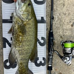 スモールマウスバス