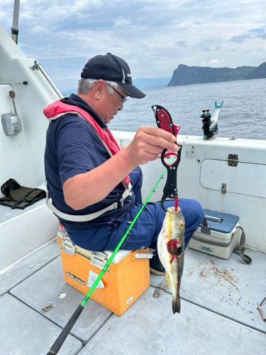 フグの釣果