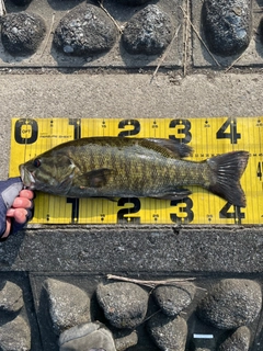釣果