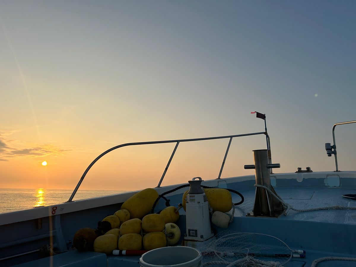 おそばさんの釣果 1枚目の画像