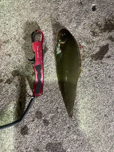 釣果