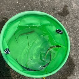 サッパ