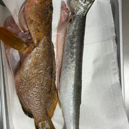 カマス