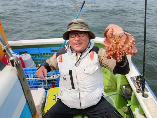 タコの釣果