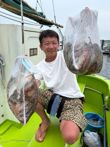 タコの釣果