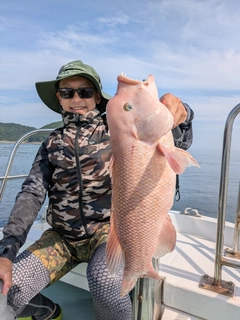 カンダイの釣果