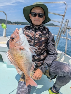 マダイの釣果