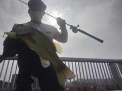 釣果