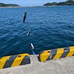 アジ