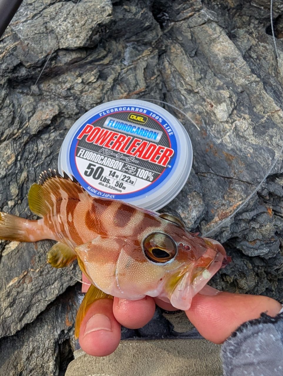 SHIMANO 19ハードロッカー BB S92MHの最安値・インプレ・釣果