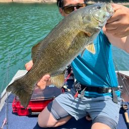 スモールマウスバス