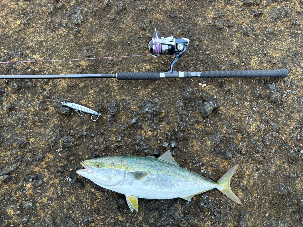 SHIMANO 20コルトスナイパー XR S106H/PSの最安値・インプレ