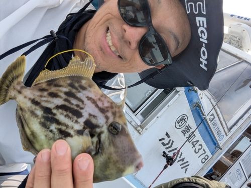 カワハギの釣果