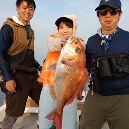 マダイ