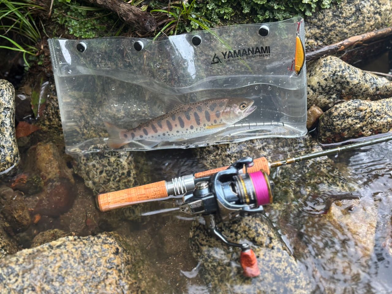 DAIWA 24シルバークリーク トラッド 53ULの最安値・インプレ