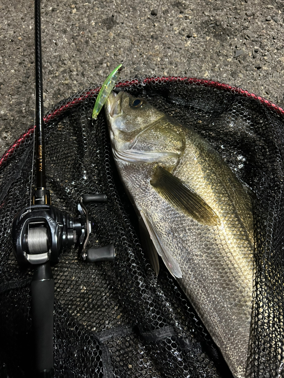 DAIWA 20リベリオン（センターカット2ピース スピニングモデル