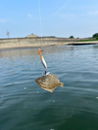 釣果