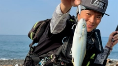 ワカシの釣果