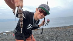エソの釣果