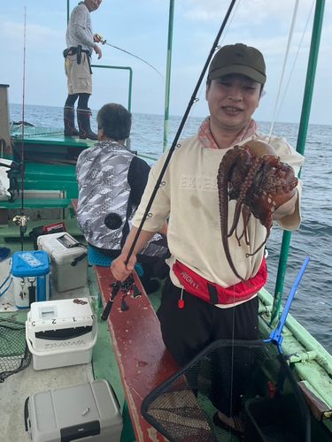 タコの釣果
