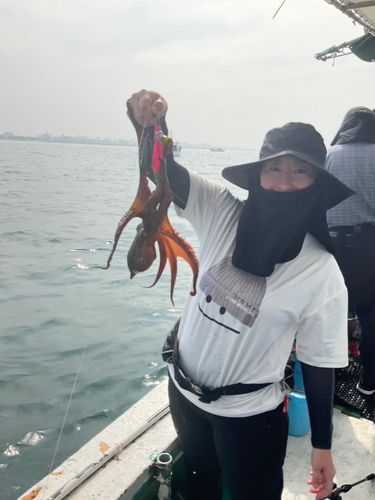 タコの釣果