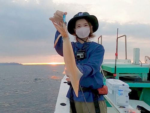 ケンサキイカの釣果