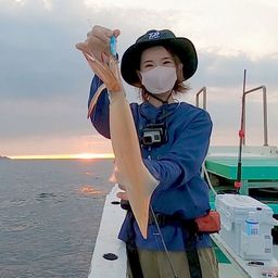 ケンサキイカ