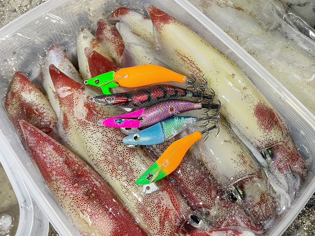 釣りガールみかんさんの釣果 3枚目の画像