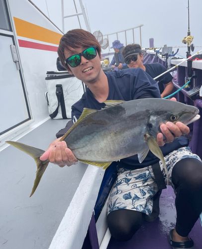 シマアジの釣果