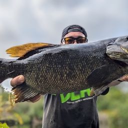 スモールマウスバス