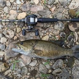 スモールマウスバス