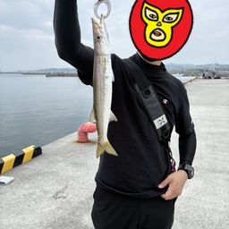 カマス