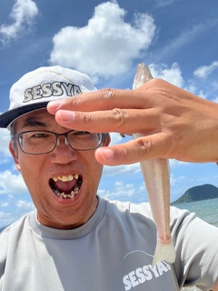 キスの釣果