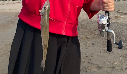 キスの釣果