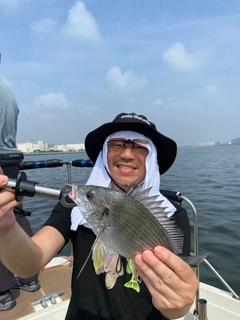 キビレの釣果