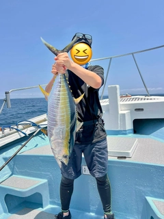 キハダマグロの釣果